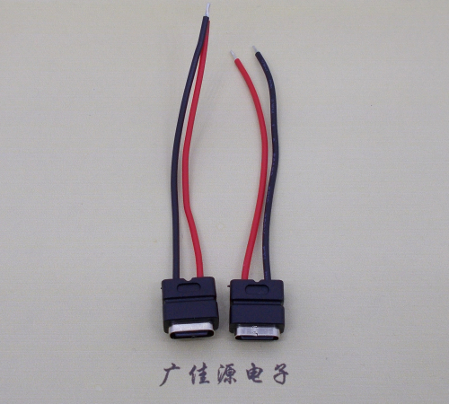 安阳type c2p防水母座焊线式带线注塑成型带接线端子/不带接线端子充电连接器