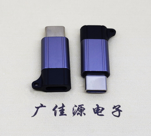 安阳Type-C母转Type-C公 USB3.1 PD100W快冲接口